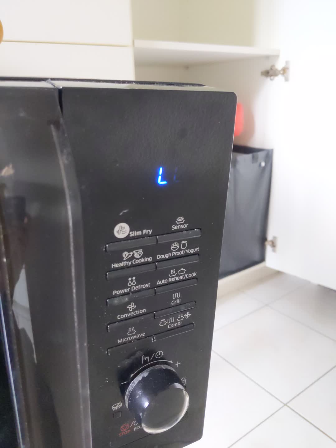 Picture of a microwave
  LCD screen. The letter L can be seen. If looking closely, a second faded
  letter L can be seen next to the first.